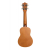 BAMBOO BU-21L PATAGONIA - Ukulele sopranowe z pokrowcem